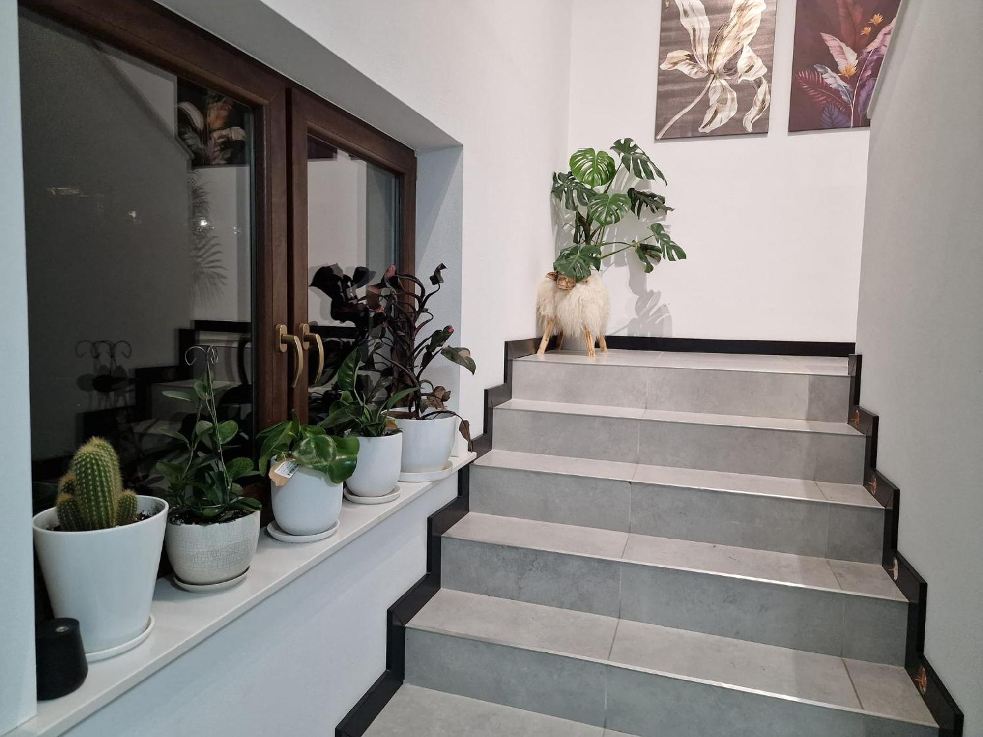 Male Ciche 36J Przy Ostrewkach, Widok Na Gory, Blisko Do Wyciagu Narciarskiego, Idealne Miejsce Na Wypad W Gory -Tarasowka-Zgorzelisko-Rusinowa Polana-Gesia Szyja-Palenica-Wiktorowki-Morskie Oko Murzasichle Exteriör bild